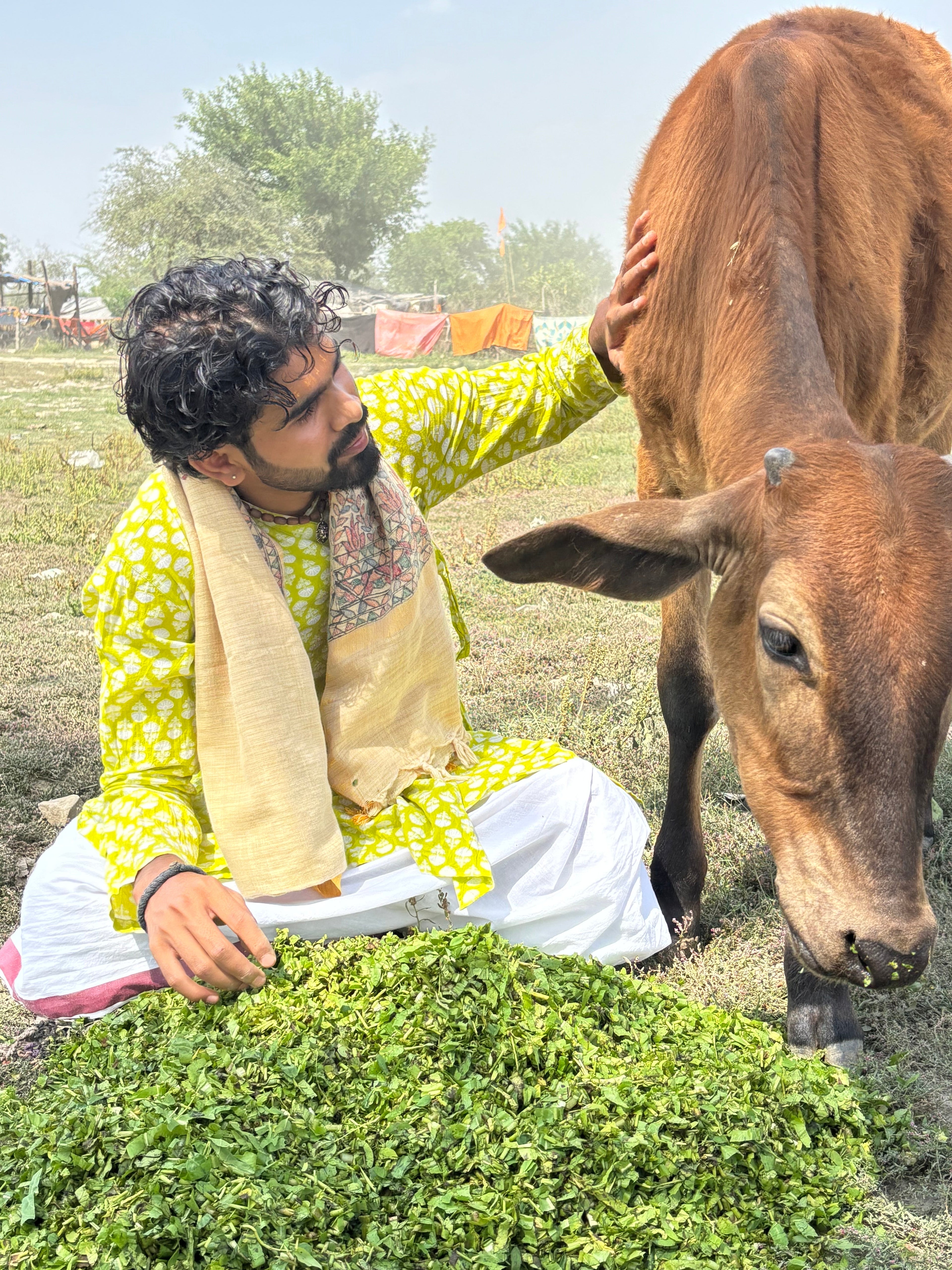 Serving the Sacred Residents of Braj Dham