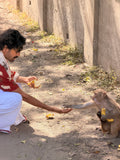 Banana Seva – Feed Vrindavan Monkeys with Love